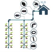 Sistema di irrigazione, 40 piante max, tramite impianto idrico domestico