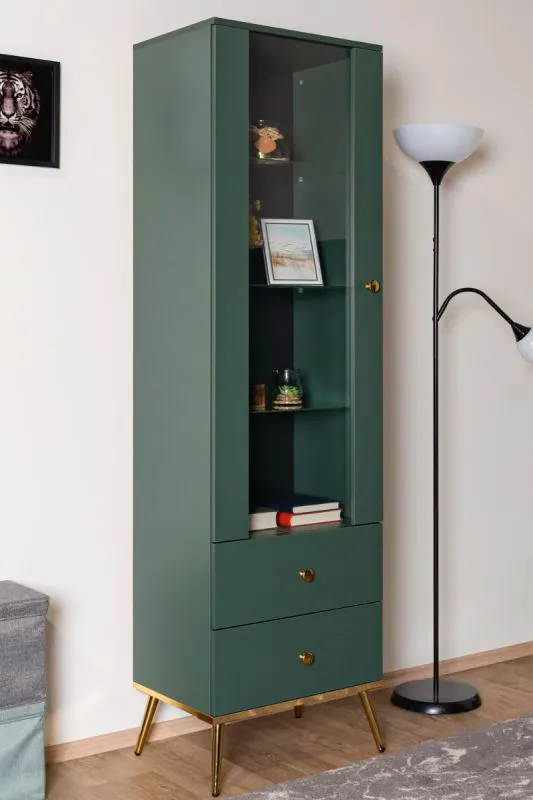 Vetrinetta Inari 01, verde foresta - 190 x 55 x 40 cm (h x l x p), con 1 anta, 2 cassetti e 4 scomparti